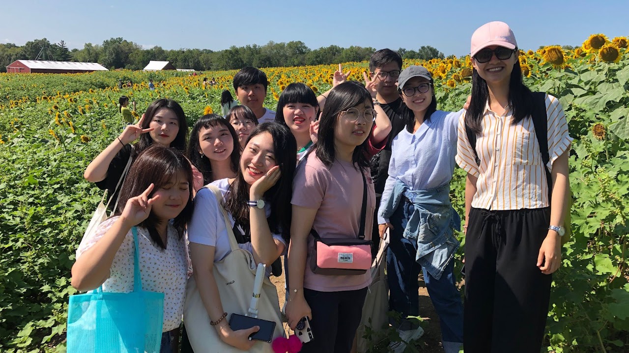 students in a sunflower field