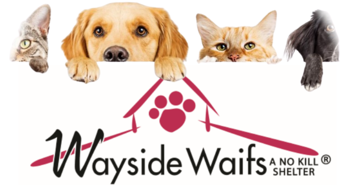 logo for Wayside Waifs